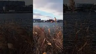 Ноябрь 