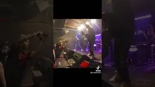 “HiveMindReader” live in Columbia