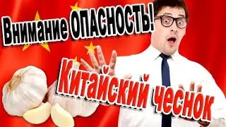 ➤ Внимание опасность! Китайский чеснок ➤ Вред чеснока  ➤ Никогда не покупайте этот чеснок