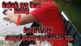 Gara2 si Baung roll pancing smpai tdk berfungsi