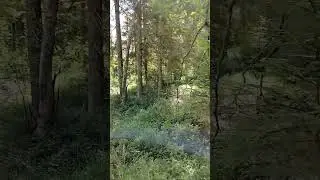 9 июля 2024 г.