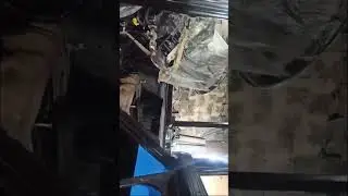 #беларус