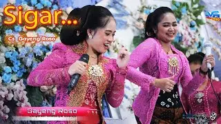sigar * gayeng roso * all artis