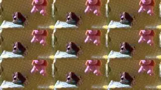 Best Day of My Life Webkinz Music Video
