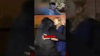 Очень грустная история🥺 