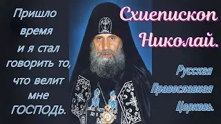 Схиепископ Николай. Пришло время и я стал говорить то, что велит мне Господь.
