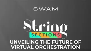 Audio Modeling SWAM 