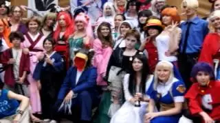белые лисы идут-11