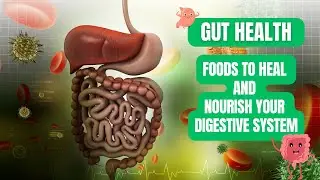 Gut Health | Foods to Heal and Nourish Your Digestive System