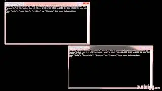 Python Versions (2.x and 3.x)