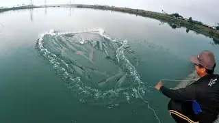 Bigla Nalang Kumulo😱 Nakulong Ang Ganitong Klaseng Huli Andami Wow
