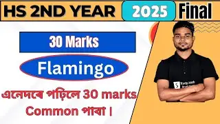 Hs 2nd year 2025 English Flamingo Common Questions & Answers