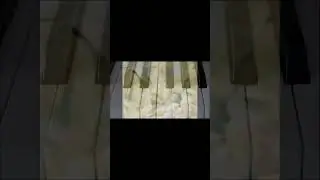38 попугаев на пианино