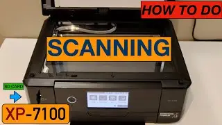 Epson XP-7100 Scanning, Scan To SD Card / USB .