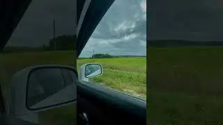 В дороге