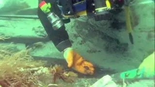 Dept. of Arts, Heritage & the Gaeltacht @ Rutland Island Wreck Co. Donegall 2012