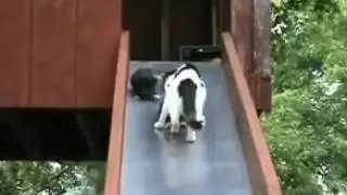Мамой быть не просто