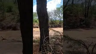 Picnic spot alongside the Tsavo River