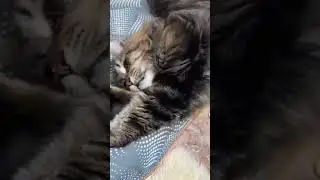 вечер..... воскресенье..... 