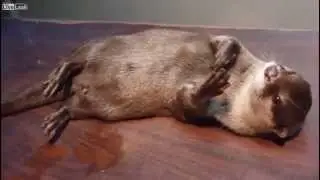 Бесконтактное оружие, жесть!