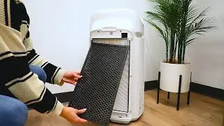 How to Set Up Your Air Purifier (Step-by-Step Guide)