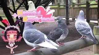 [VN Classics] Hatoful Boyfriend