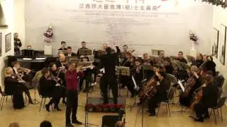 Н.Римский-Корсаков ария Царевны Лебедь из оперы “Царь Салтан”