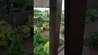 задождилось!