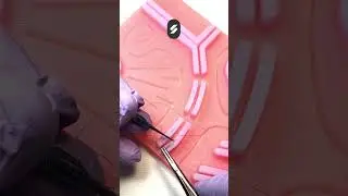 Про историю болезни | Тренажер Scalpel med