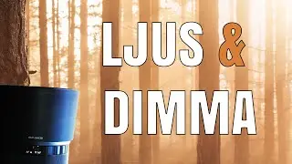 Ljus & dimma - Att arbeta med ljuset.