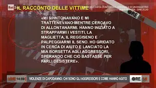 Violenze di Capodanno: chi sono gli aggressori e come hanno agito? - Ore 14 del 13/01/2022