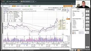 Momentum Monday - Oversold bounce