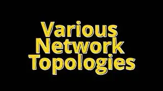 CN 6  Various Network Topologies