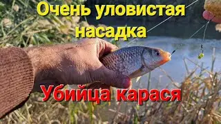 Рыбалка в октябре. Очень уловистая насадка на карася