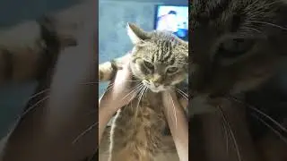 Ты моя😊😄