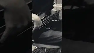 ‪@BADBADNOTGOOD‬