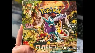 Pokemon Wild Force Opening!!