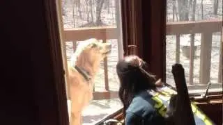 Girl vs. Dog