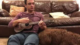You've got a friend in me Ukulele Cover