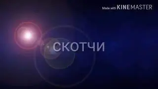Мои скотчи☺