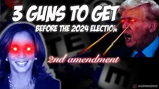 3 guns you need to get before the election