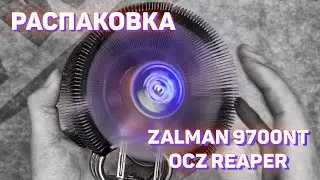 😍 РАСПАКОВКА - ZALMAN CNPS 9700 NT & OCZ REAPER DDR2 1066MHZ