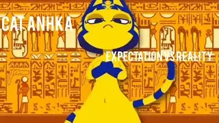 Cat anhka expectation vs reality