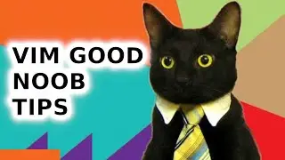 Intro to Vim - Tips for beginners [2021]
