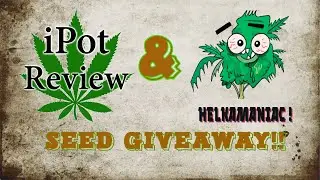 THE RESULTS!! HELKAMANIAC ! SEED GIVEAWAY
