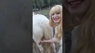 Dainty Rascal Heart of Gold Sanctuary Update November 2023