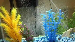 Final Bubble Wall...