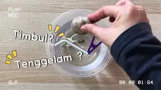 Eksperimen Sains Mudah : Objek Tenggelam dan Timbul | Tadika | Sekolah