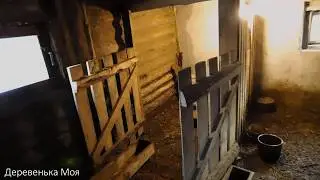 Доделал ремонт в сарае // У индоуток беда