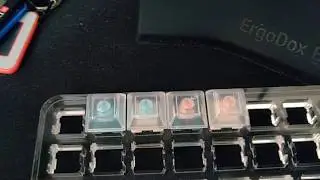Aqua Zilent vs Aqua Panda vs Unholy Zilent vs Holy Panda